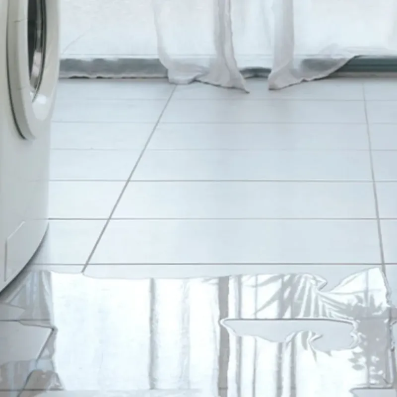 Appliance Leak Cleanup in Union City, CA