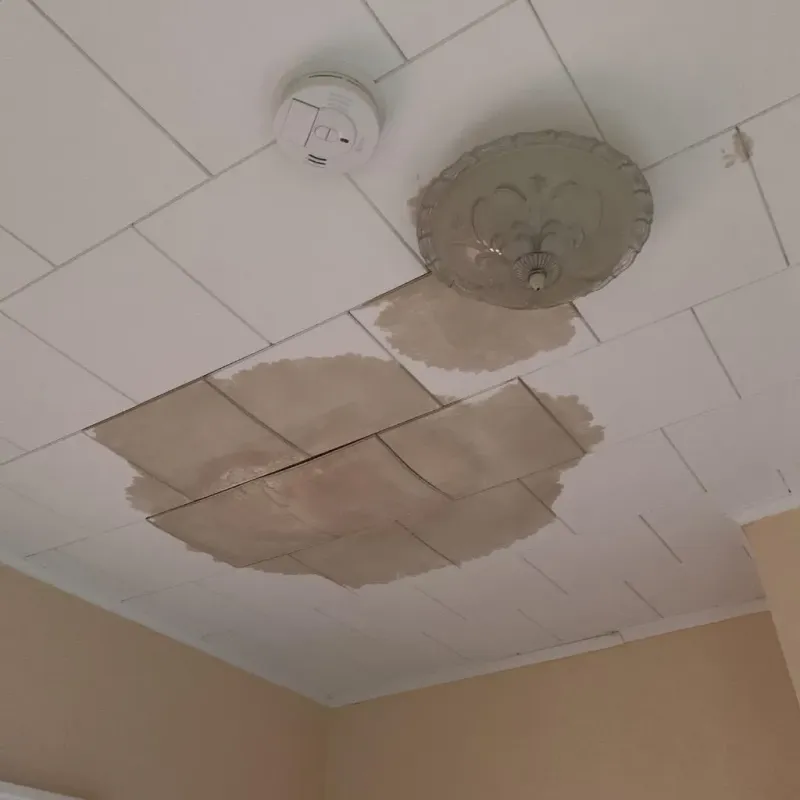 Ceiling Water Damage Repair in Union City, CA